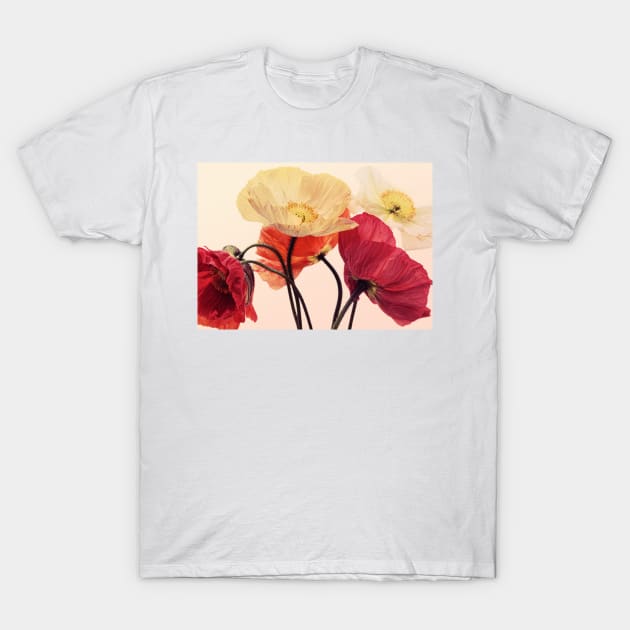 Posing Poppies T-Shirt by micklyn